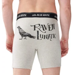 Little Blue House By Hatley Raven Lunatic Boxer Brief